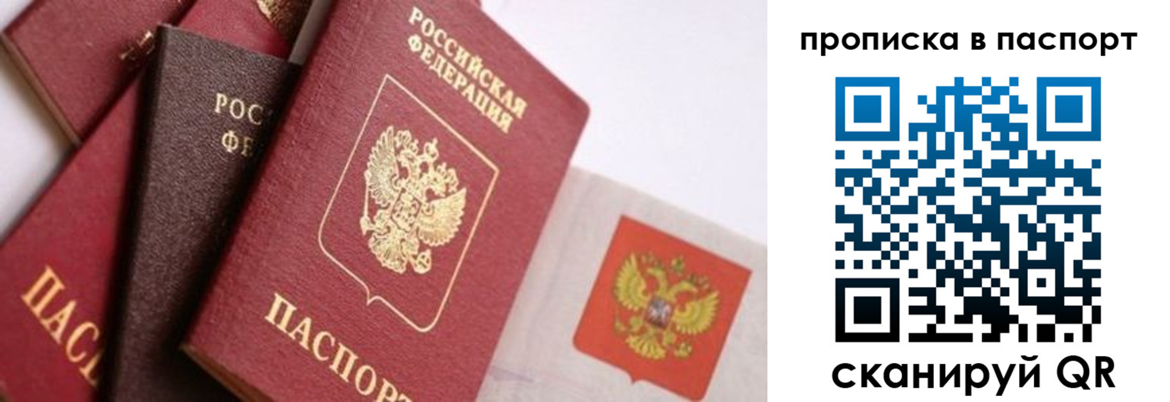 прописка штамп в Каменке